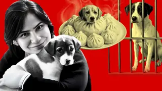 Adda | Mahabharata, Mao and Delhi’s Stray Dog Dilemma