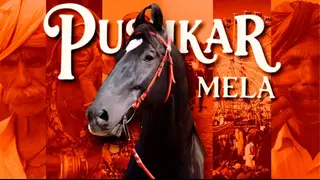 Pushkar Fair 2025 | The Story of Rajasthan’s Iconic Mela