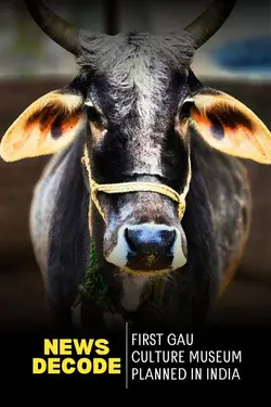 India is planning its first Cow Culture Museum in Mathura