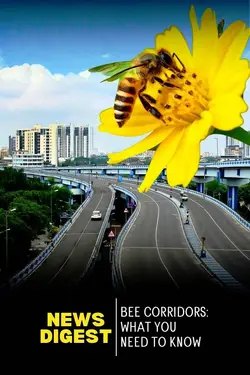 Bee Corridors on Highways: What You Need to Know