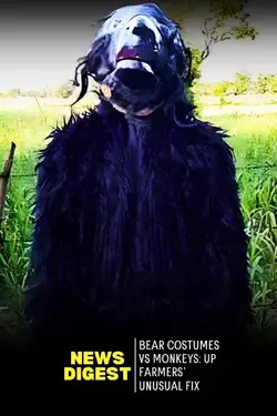 Bear Costume Farmers vs Monkeys