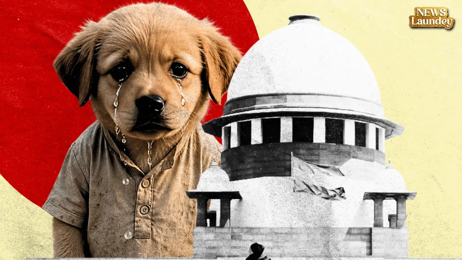 Supreme Court ke Verdict Se Hungama? Dog Feeders vs Residents