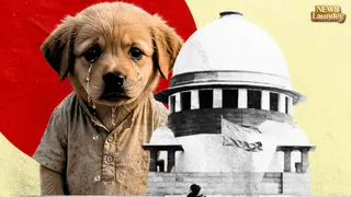 Supreme Court ke Verdict Se Hungama? Dog Feeders vs Residents