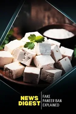 Fake Paneer Ban Explained