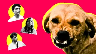 Public Reaction on Street Dogs: Dogs Ko Khana Do, Par Safety Bhi Chahiye!